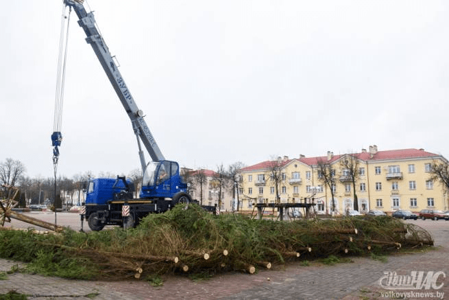 Приближая новогоднюю сказку. В среду на площади имени Ленина начался монтаж главной елки Волковыска
