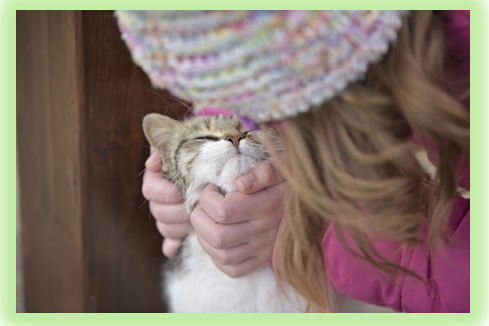 Профилактика микроспории