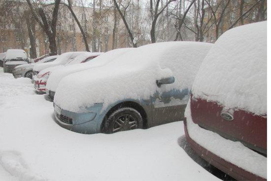 О соблюдении гражданами Правил благоустройства и содержания населенных пунктов