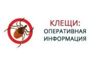 Клещи: оперативная информация